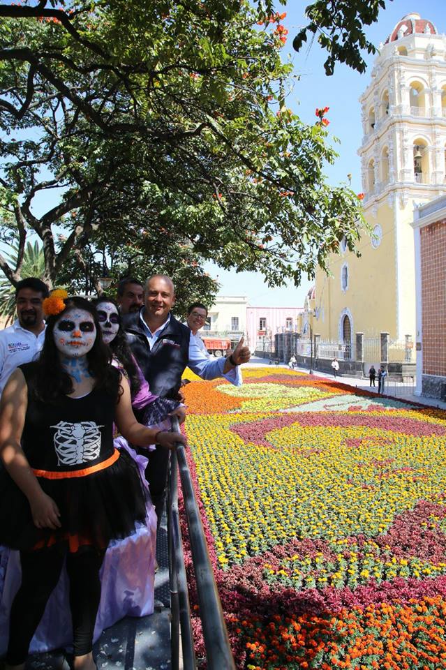 Más de 42 mil plantas tiene el tapete monumental de Atlixco