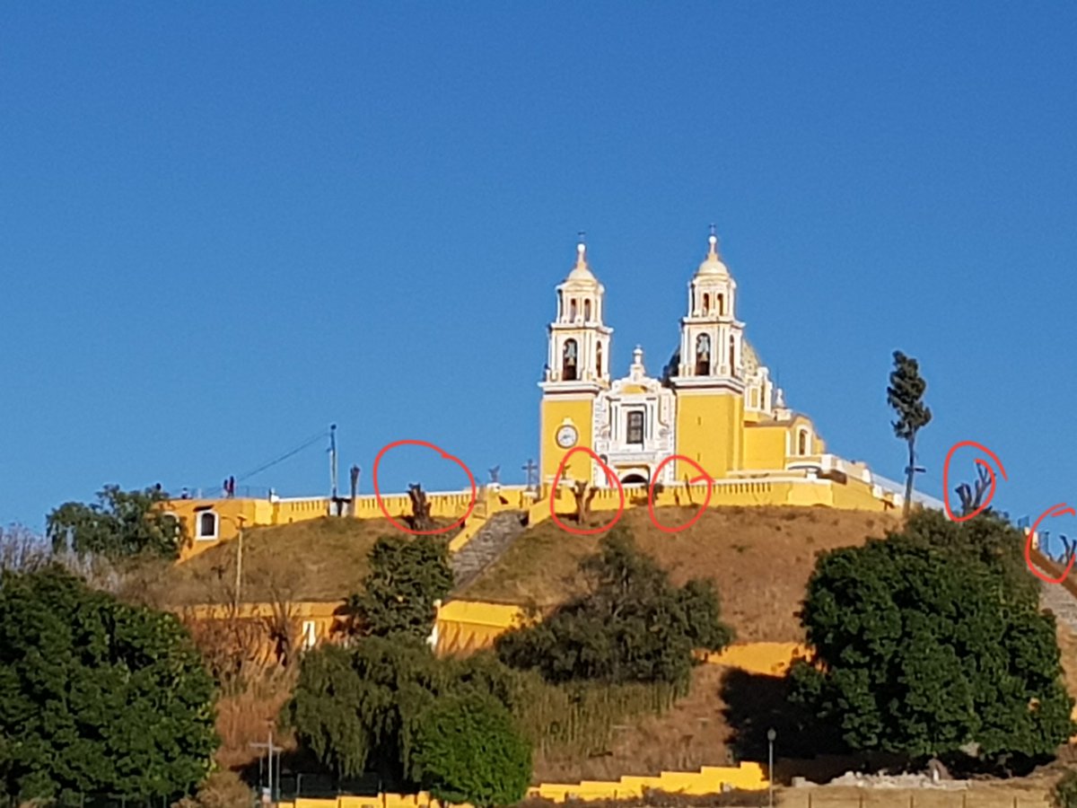 Talan árboles en Gran Pirámide de Cholula; fue la iglesia, acusan