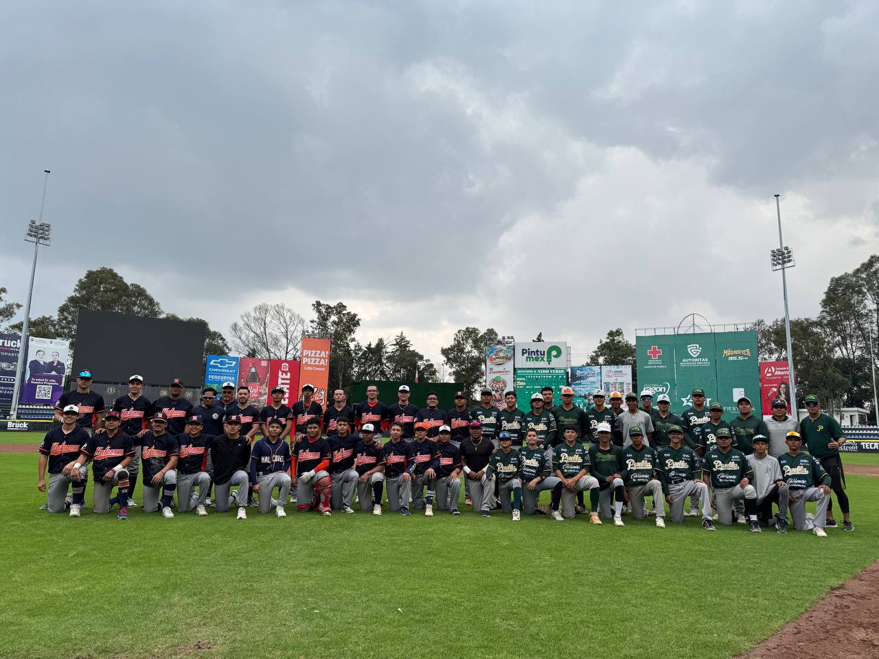 Duelo de poder a poder de Pericos en el Nido