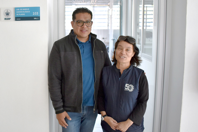 Investigadora del ICUAP estudia el comportamiento de la Gallina Ciega para su control