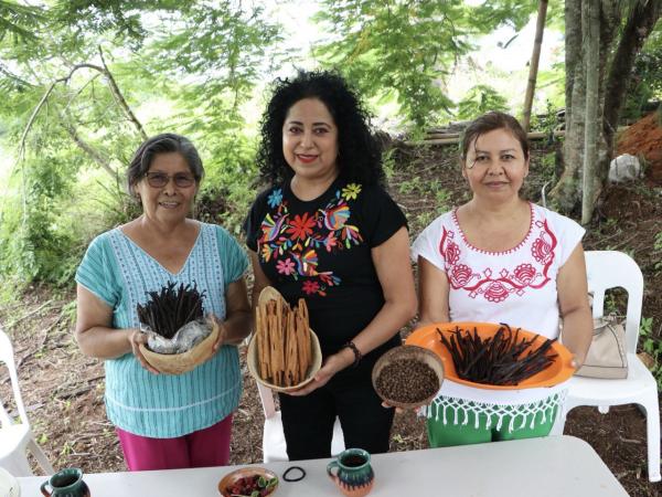 Avanza comercialización de vainilla, canela y pimienta en Escuelas de Campo