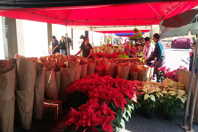 Feria de la Nochebuena abre temporada navideña en Atlixco