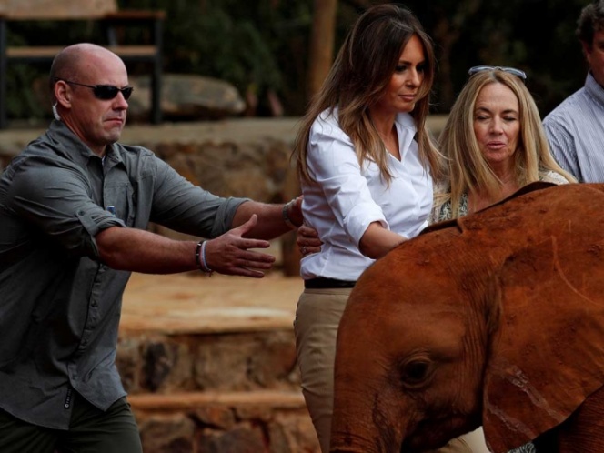 VIDEO Bebé elefante empuja a Melania Trump