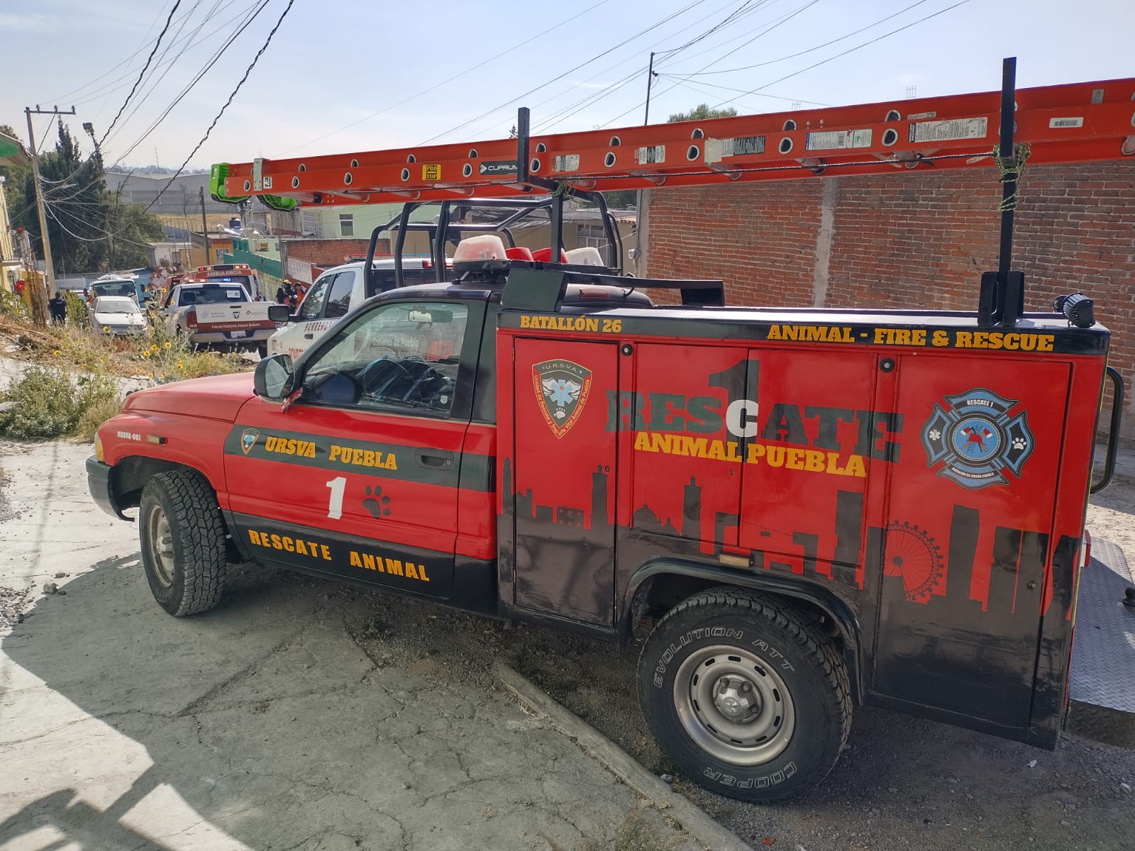Mujer con sus mascotas resulta quemada por explosión en San Jerónimo Caleras