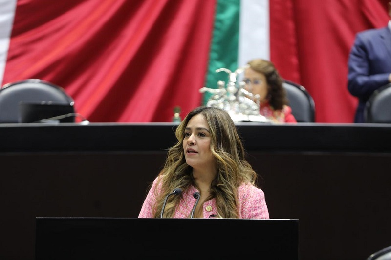 Reforma Judicial pisotea derechos de 60 millones de mexicanos: Xitlalic Ceja