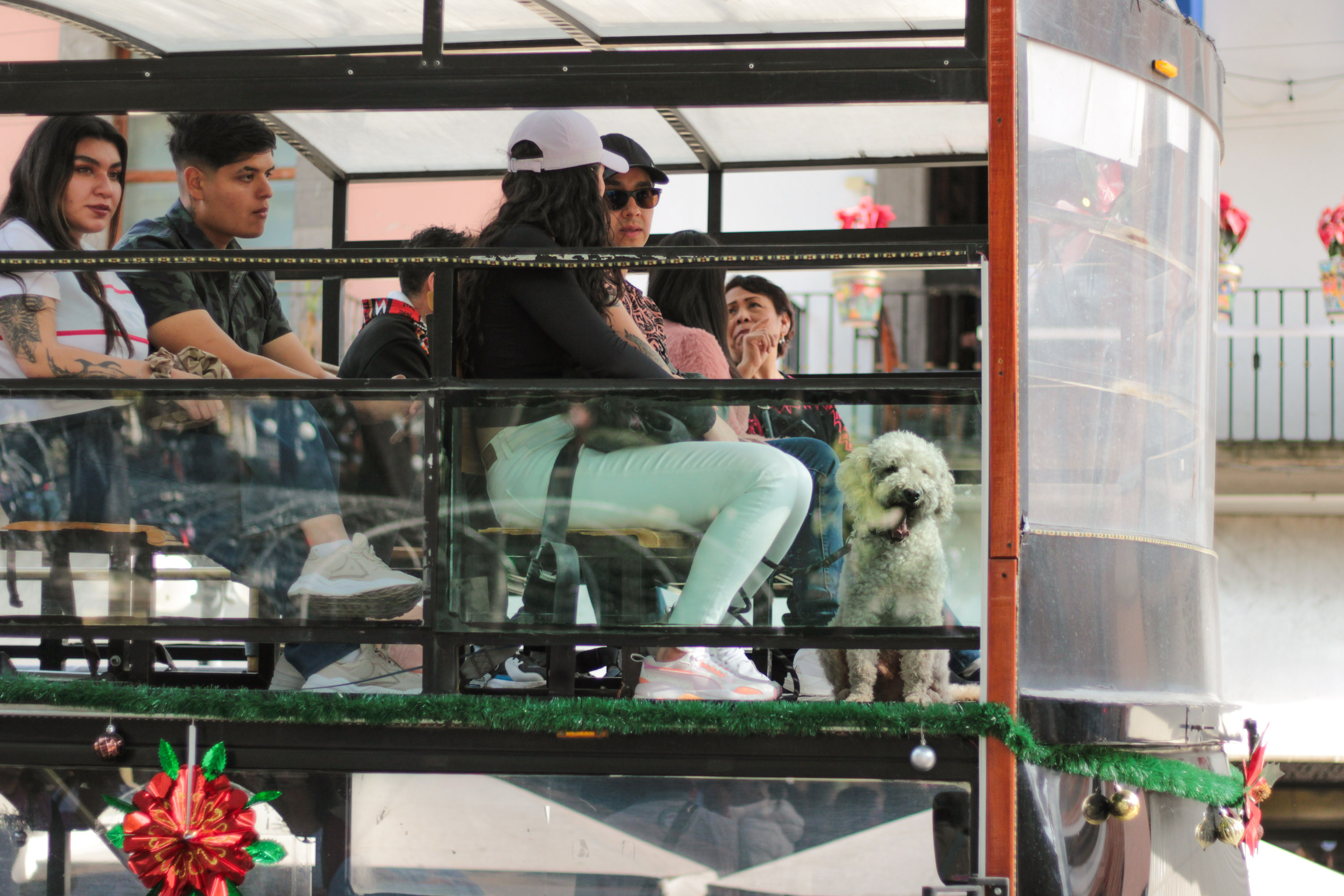 VIDEO Hasta Firulais disfrutó de un paseo por Puebla