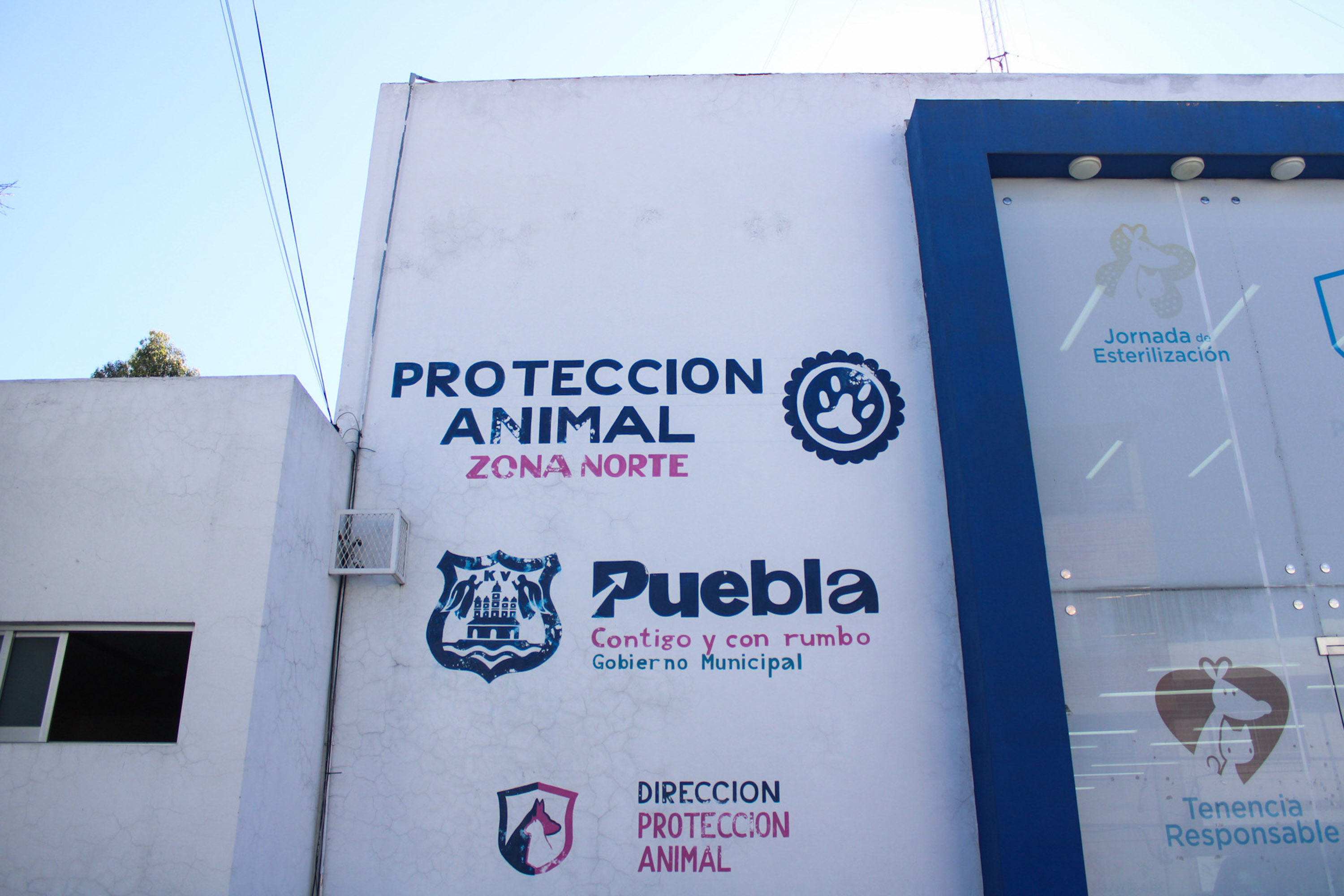 Remodelarán Centro de Control y Protección Animal Zona Norte