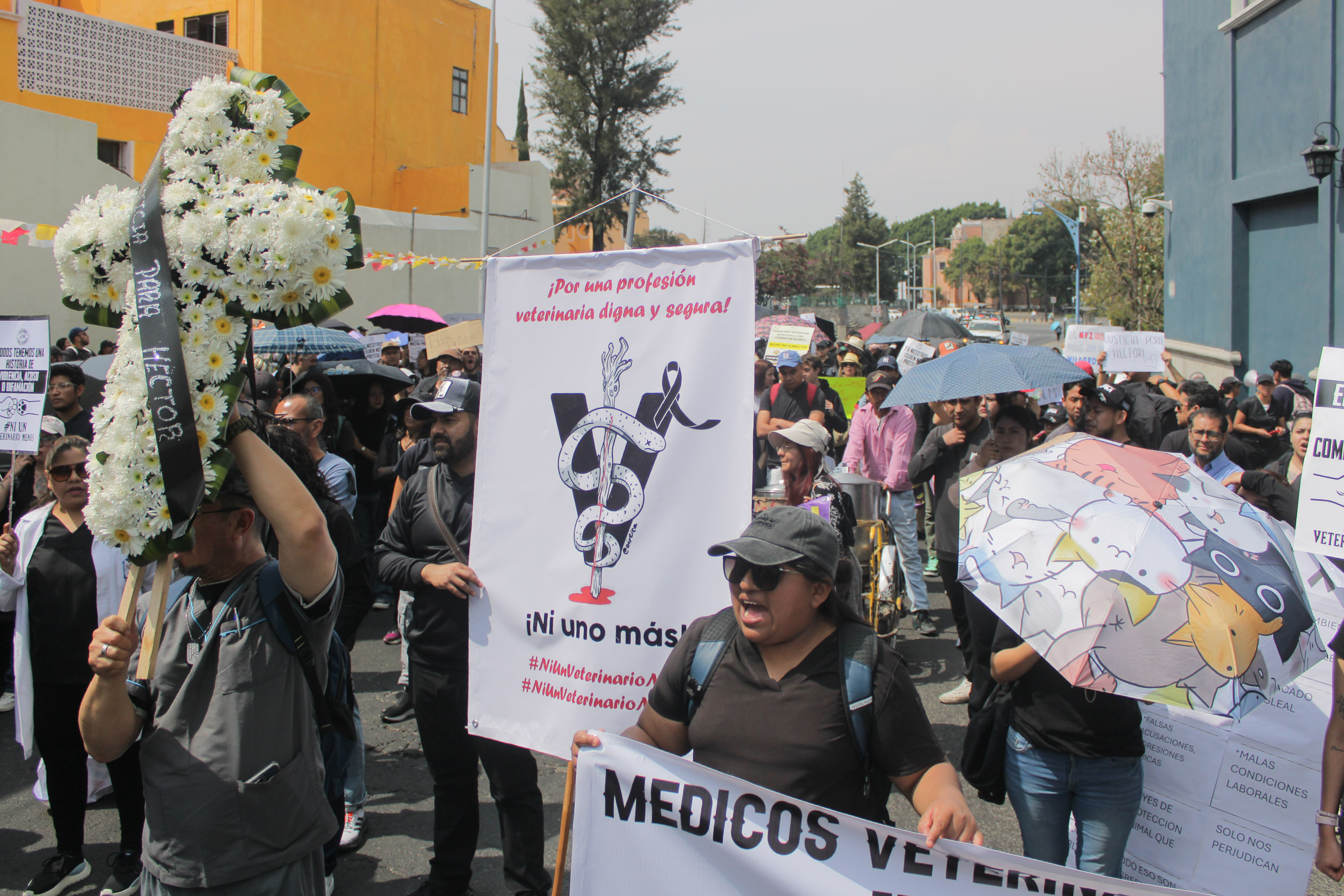 VIDEO Veterinarios exigen garantías de seguridad en su ejercicio laboral