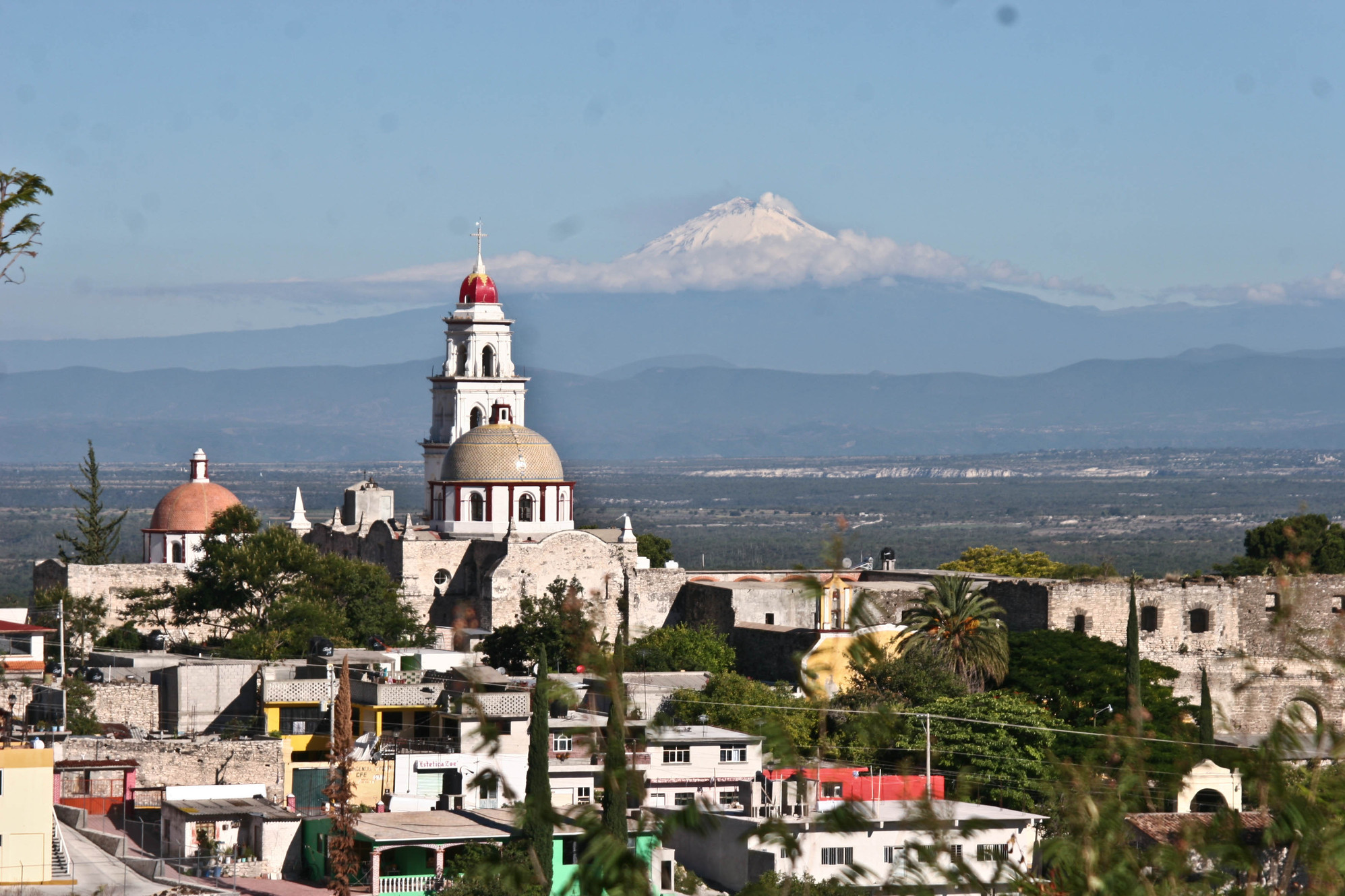 ¡Si habrá cerdito encebado en Tepexi!, no le harán daño