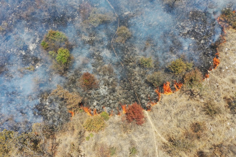 En lo que va del año, Puebla reporta 181 incendios forestales