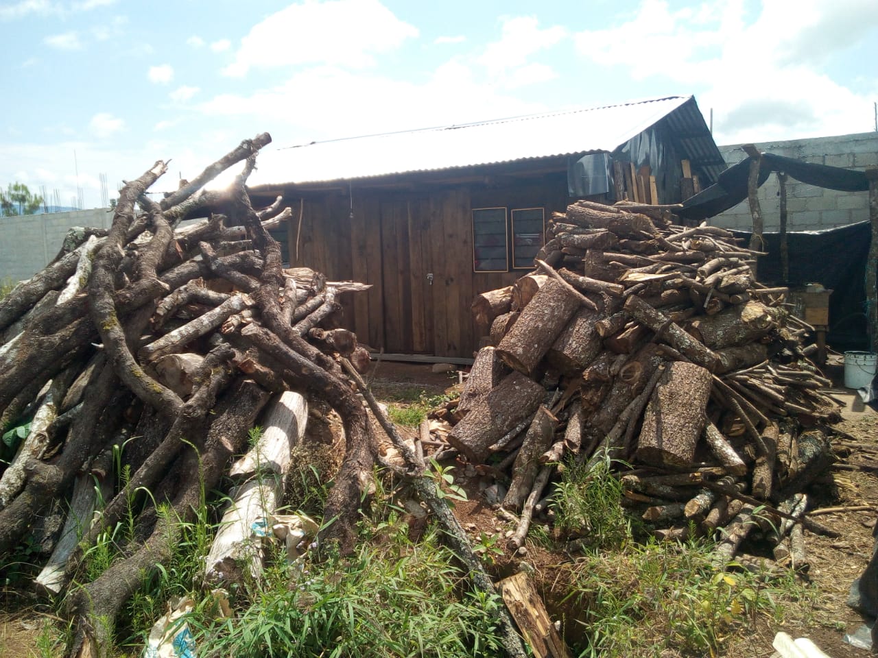 Leñador pierde la vida cuando cortaba árbol en Huauchinango