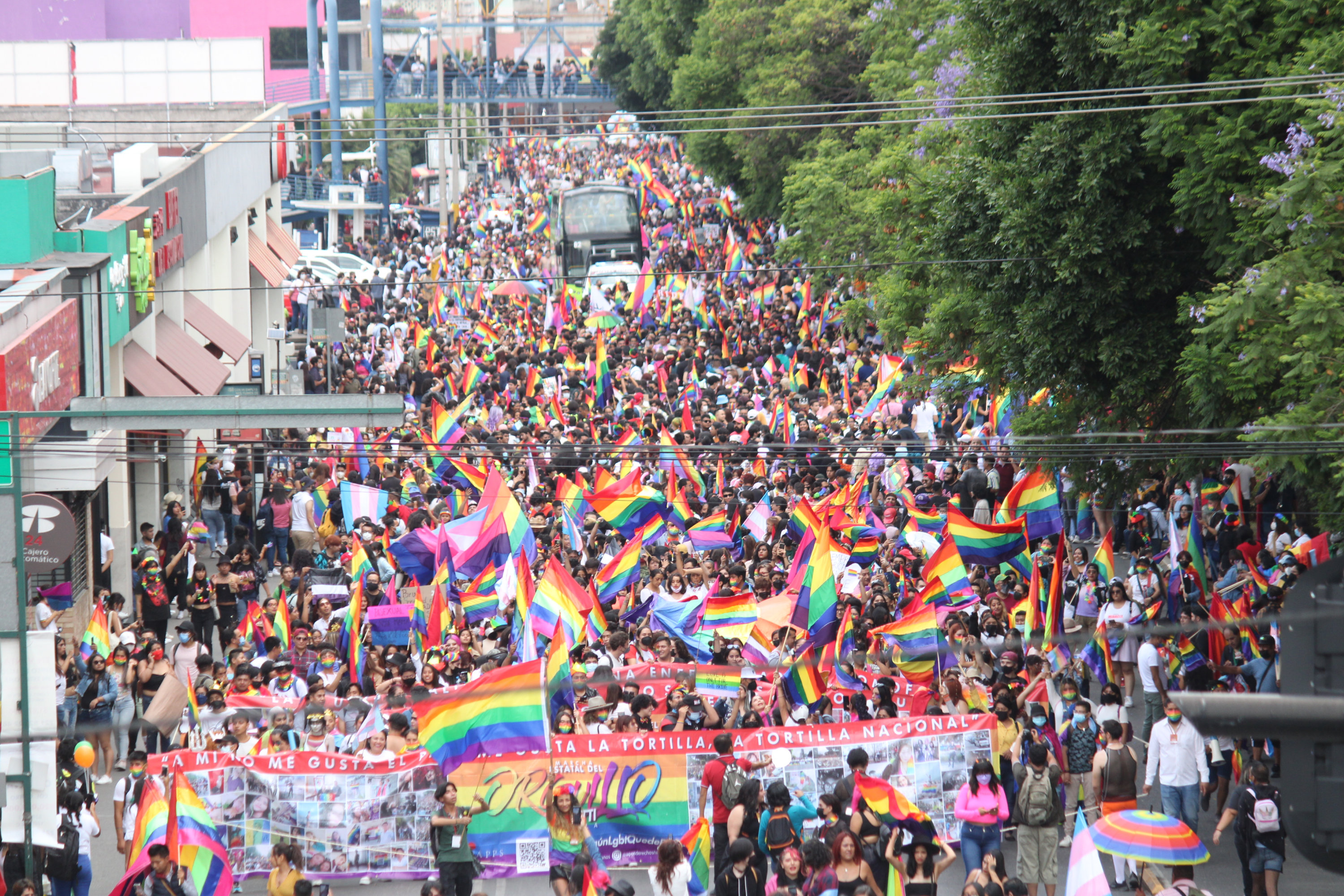 VIDEO Miles toman las calles en la Marcha Estatal del Orgullo LGBTTTI+