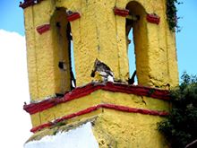 Advierten riesgos por daños en campanario de Cuacuila