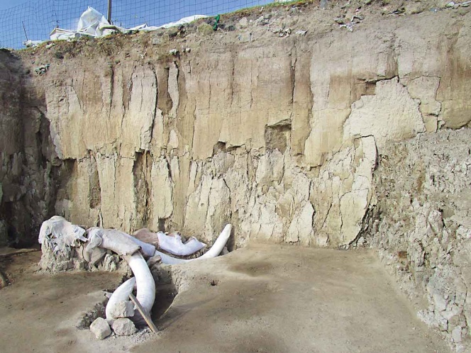 Encuentran trampa para mamuts de 15 mil años de antigüedad