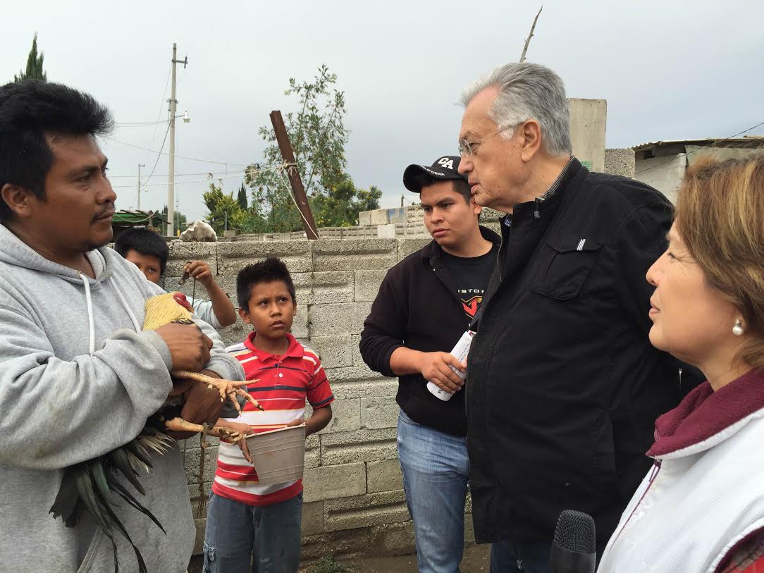 Comuna de Tehuacán obliga a votar por el Gallo: Morena