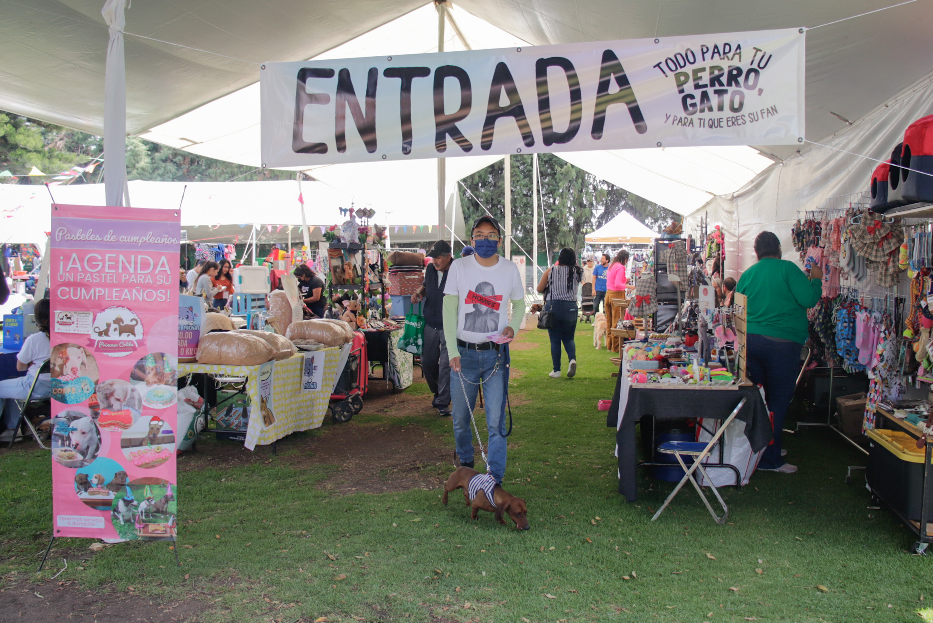 VIDEO Consiente a tus peludos y michis este fin de semana