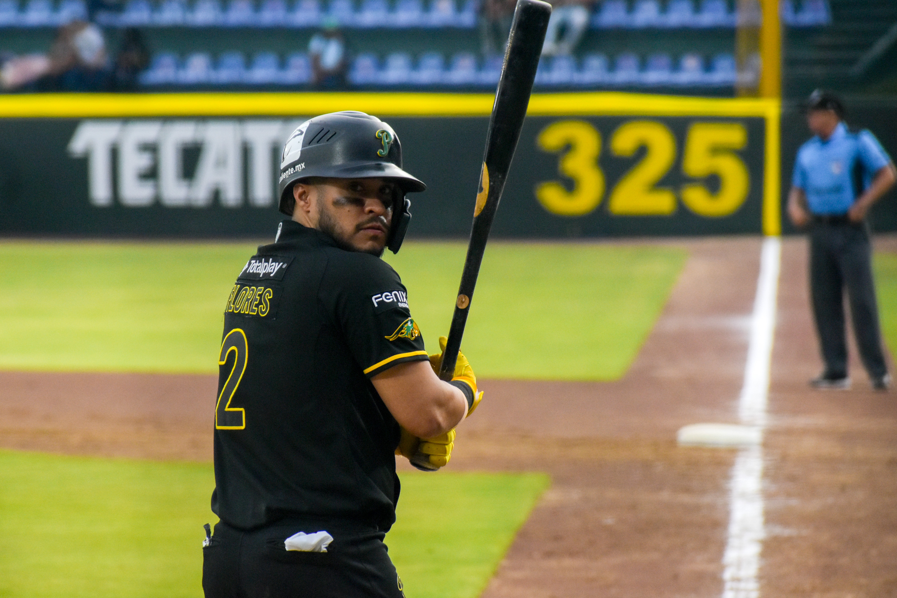 Ajustes en la serie Pericos vs Yucatán