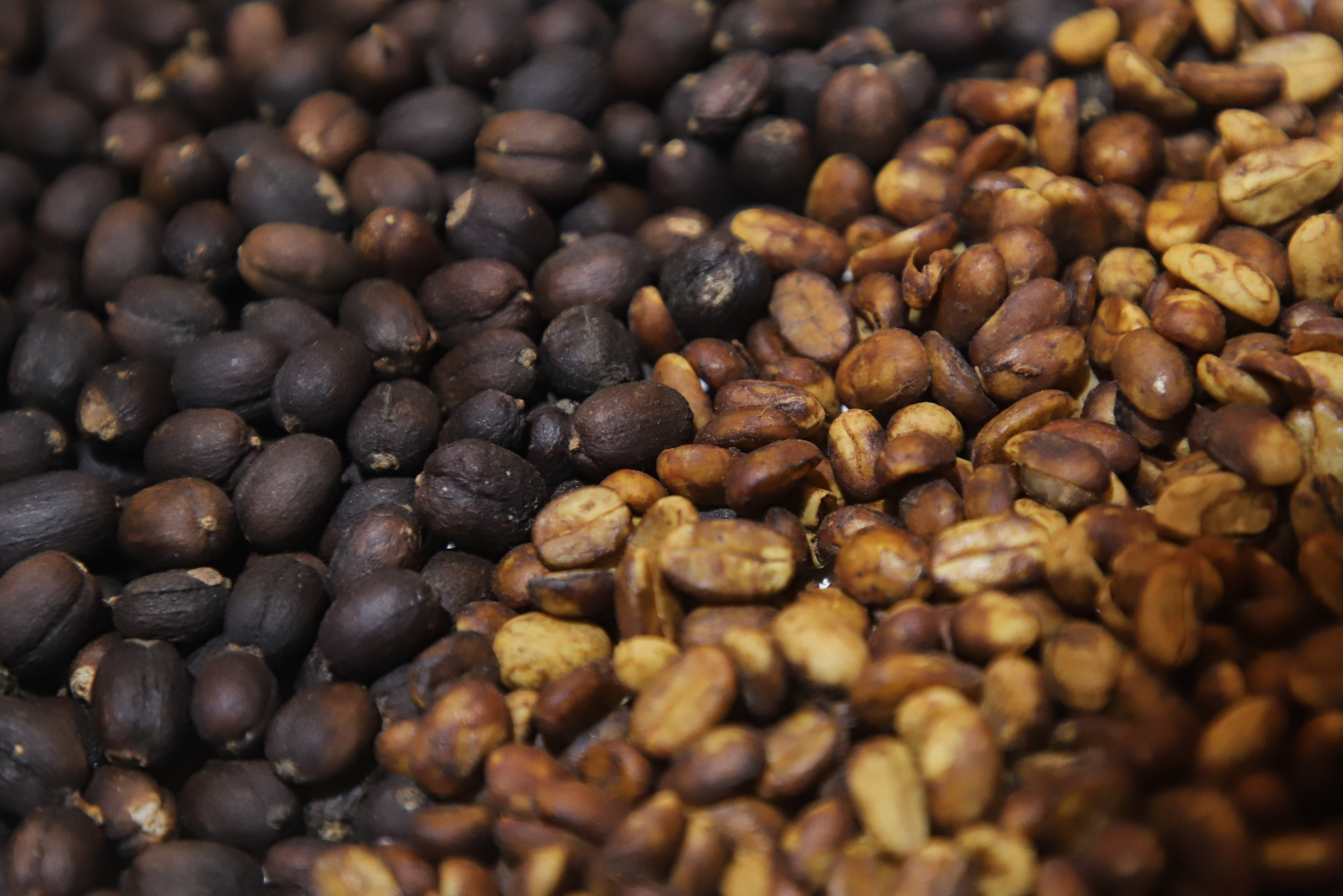 Puebla destaca en la producción de café, chícharo, cacahuate, amaranto y chía
