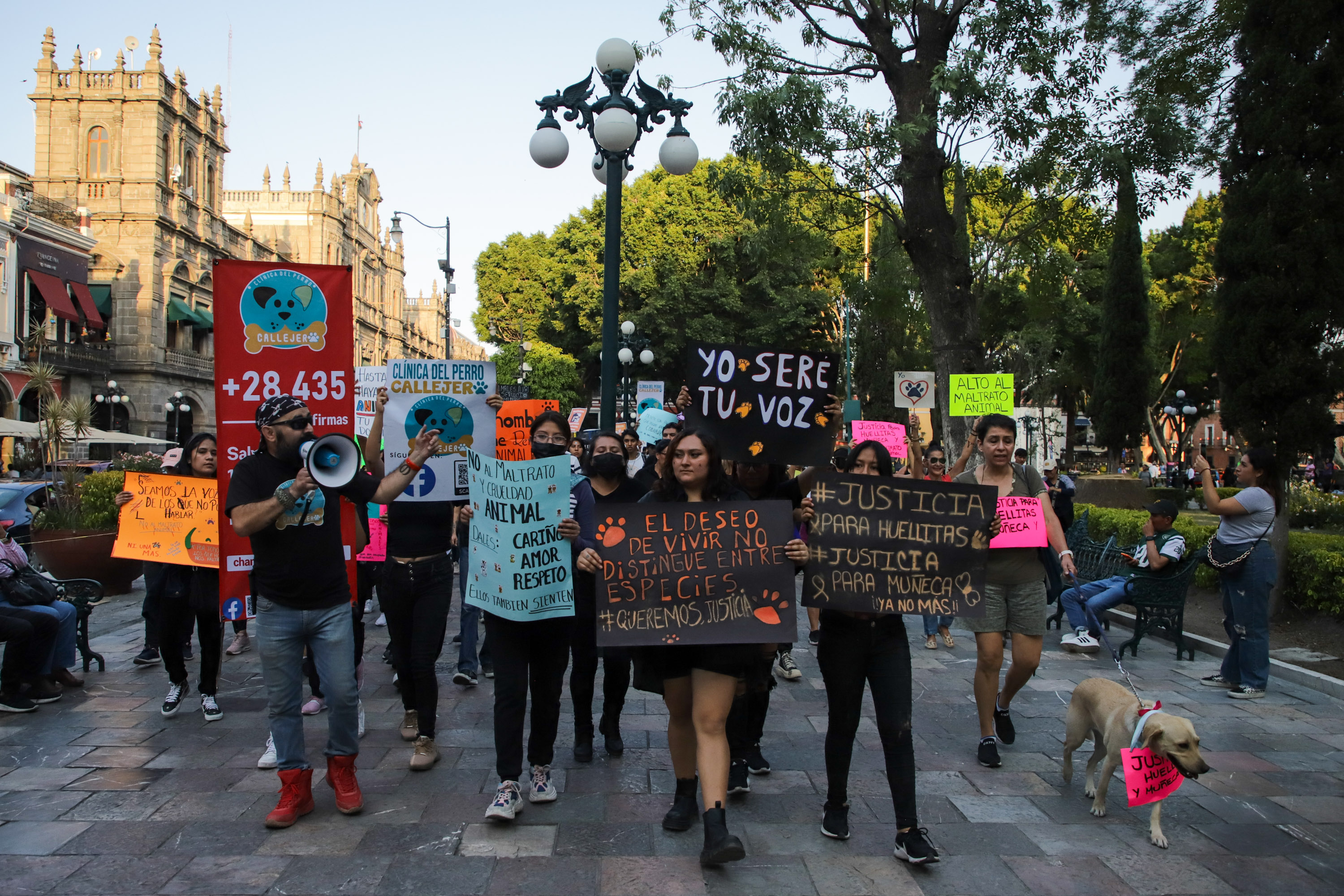 VIDEO Cárcel, fue el grito de animalistas en el zócalo de Puebla