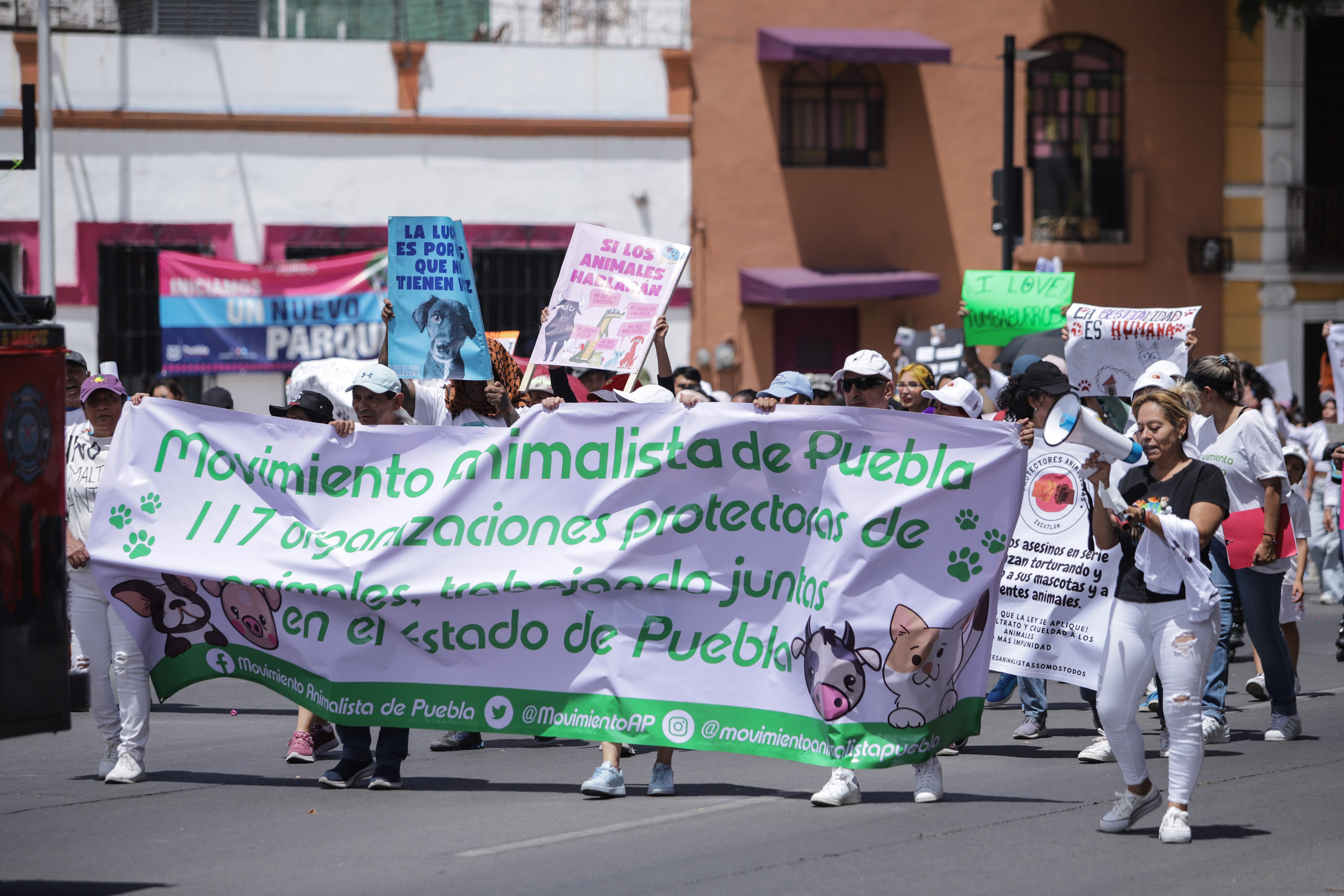 Movimiento Animalista de Puebla se manifiesta por maltrato a peluditos