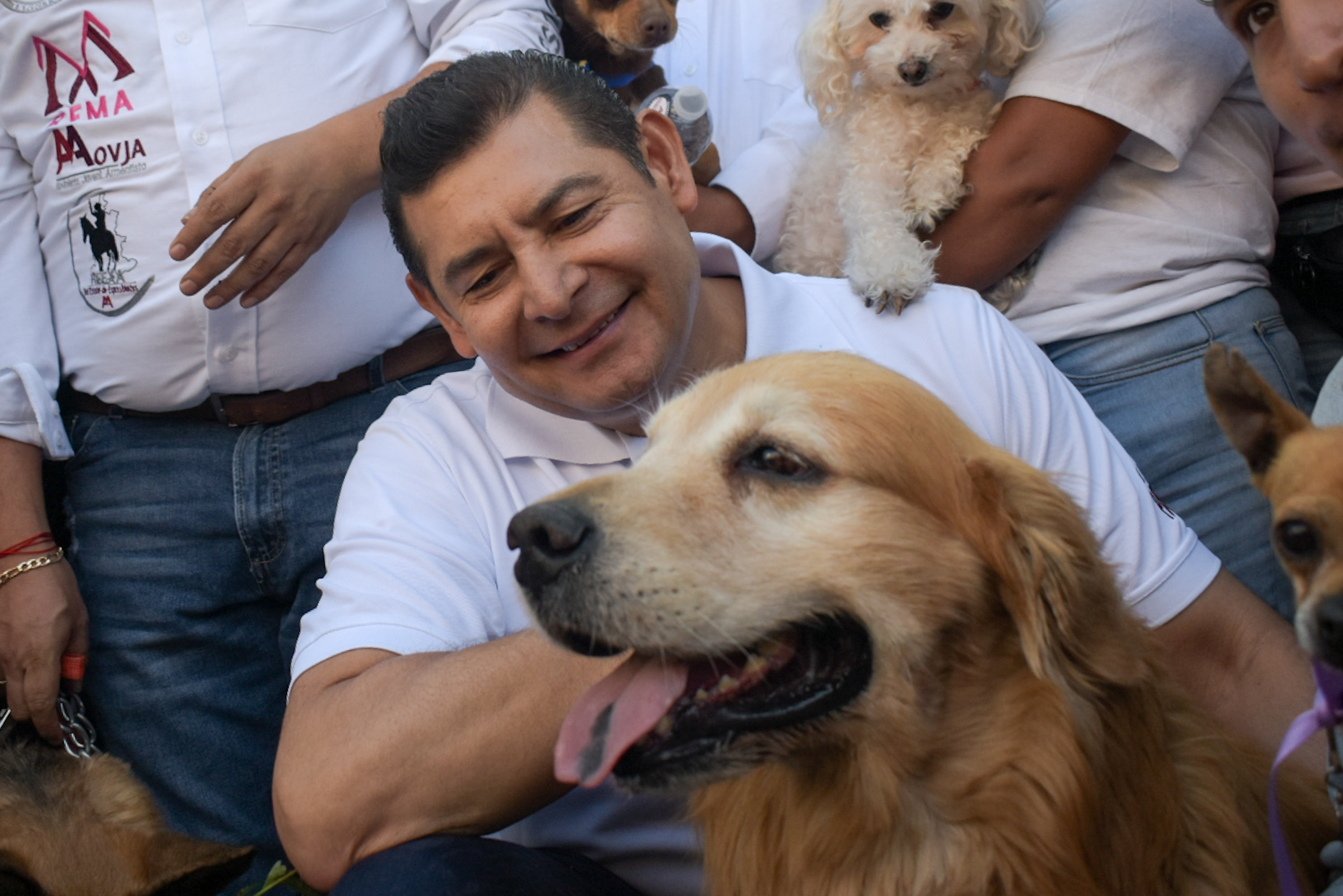 Un ser sintiente es responsabilidad de la persona que lo adquiere: Alejandro Armenta 
