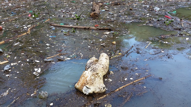 Pescadores sacan 7 toneladas de basura de presa Necaxa