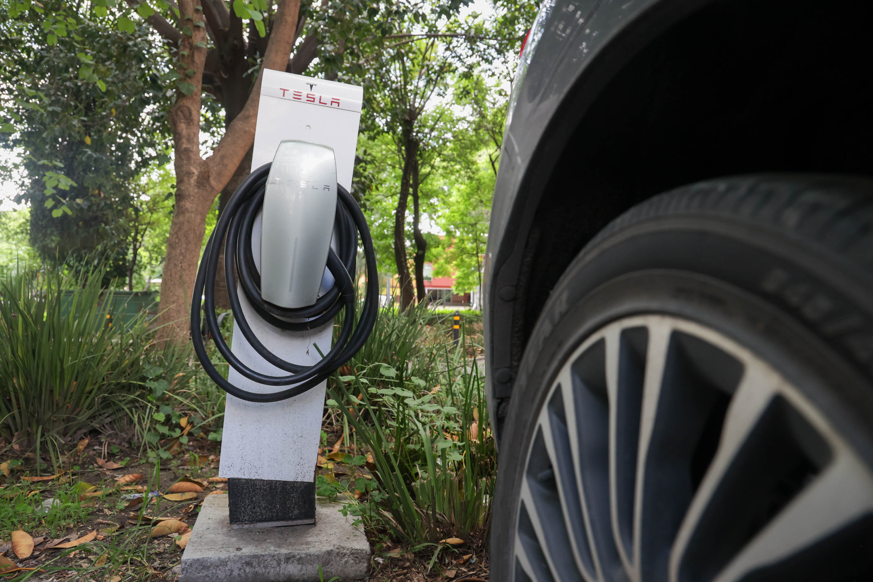 VIDEO Deteriorados lucen los centros de carga Tesla en Puebla