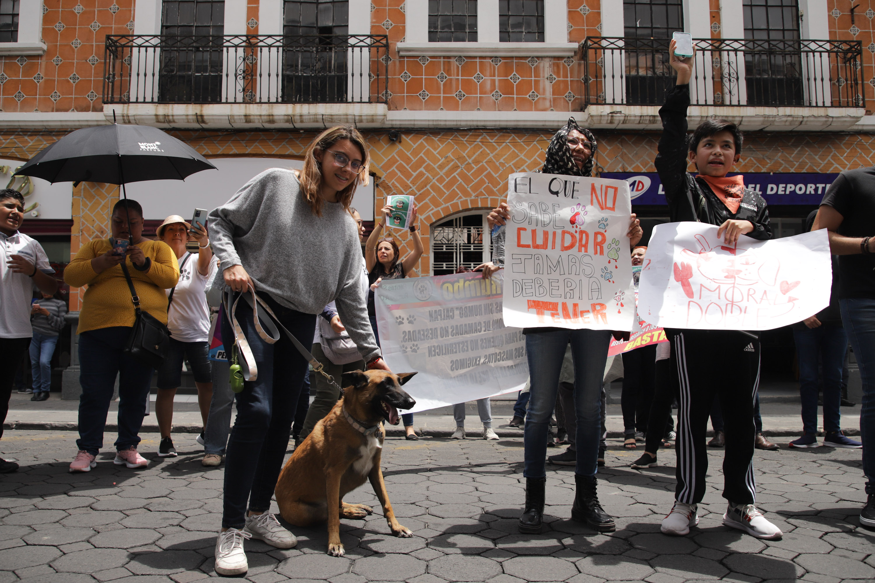 VIDEO Animalistas se manifiestan por el caso del perrito Chori