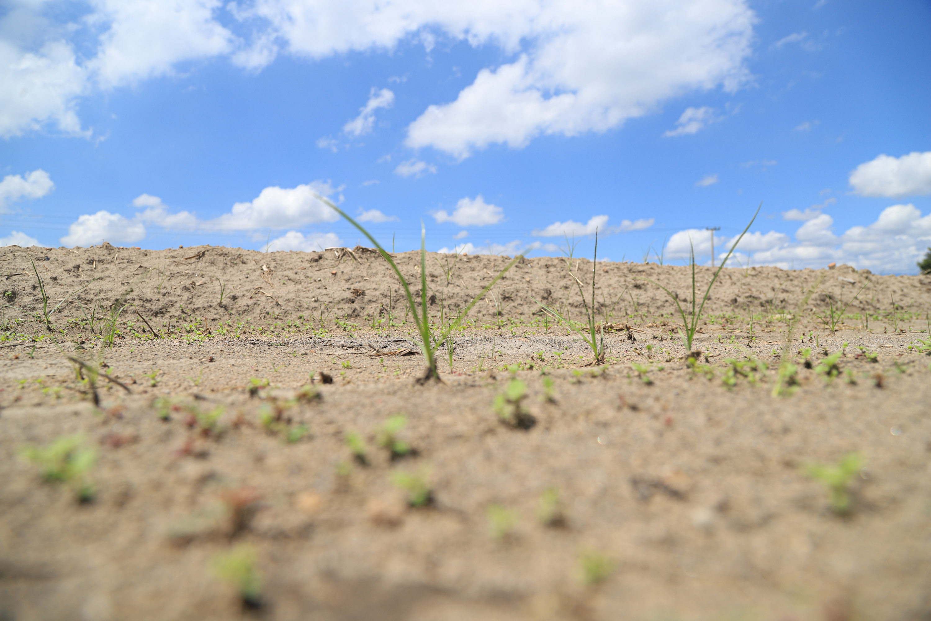 Disminuye sequía en Puebla en el mes de agosto