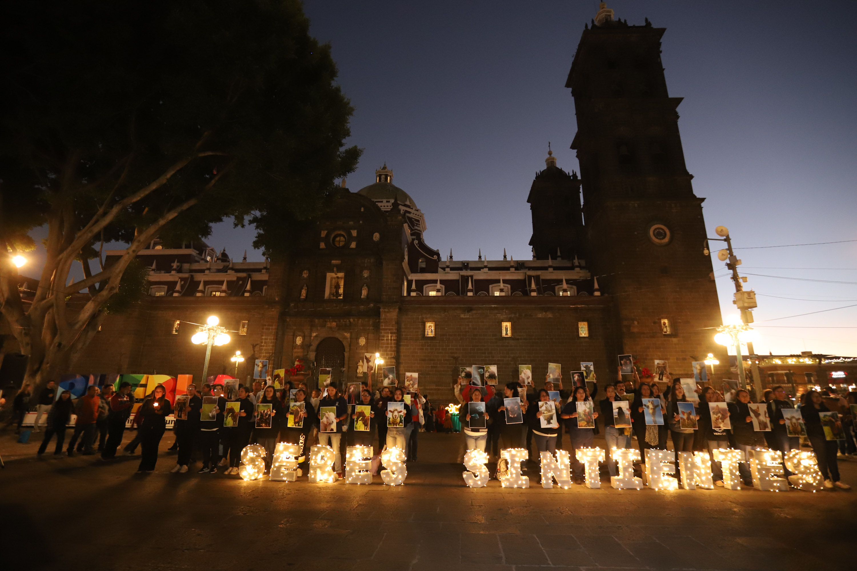 Movimiento Animalista de Puebla se manifiesta en el zócalo