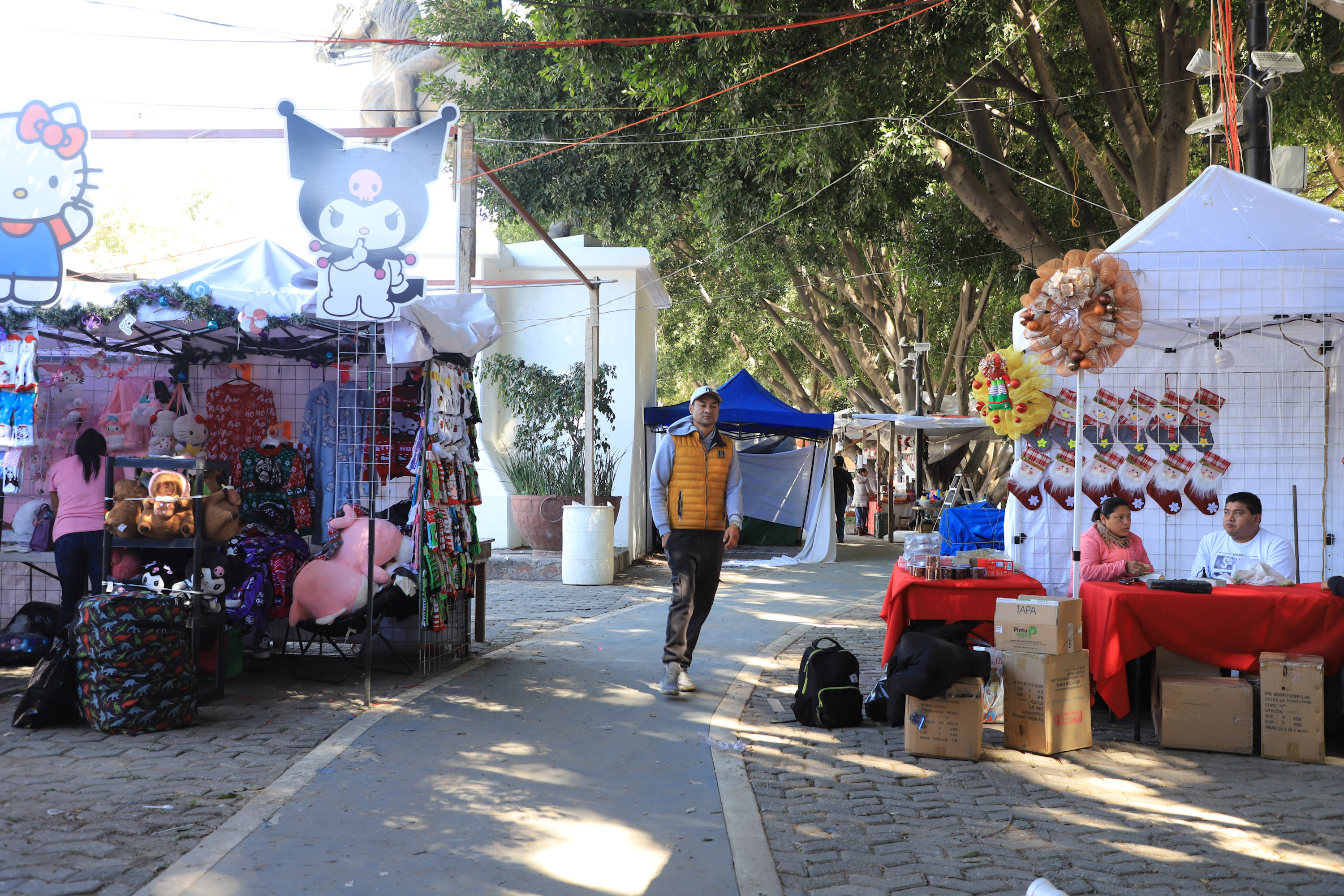 VIDEO Alista compras navideñas en el Parque del CENHCH