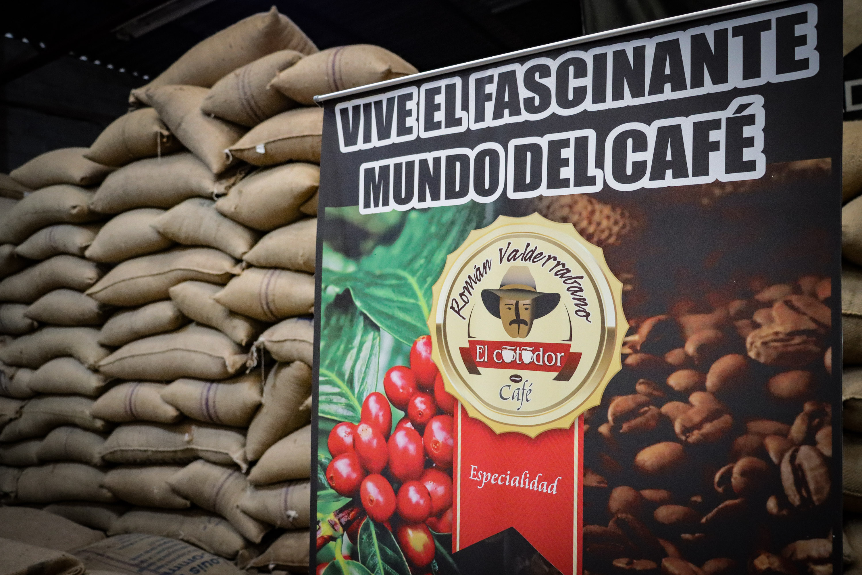 VIDEO Disfruta la Bioruta del Café en finca El Paraíso