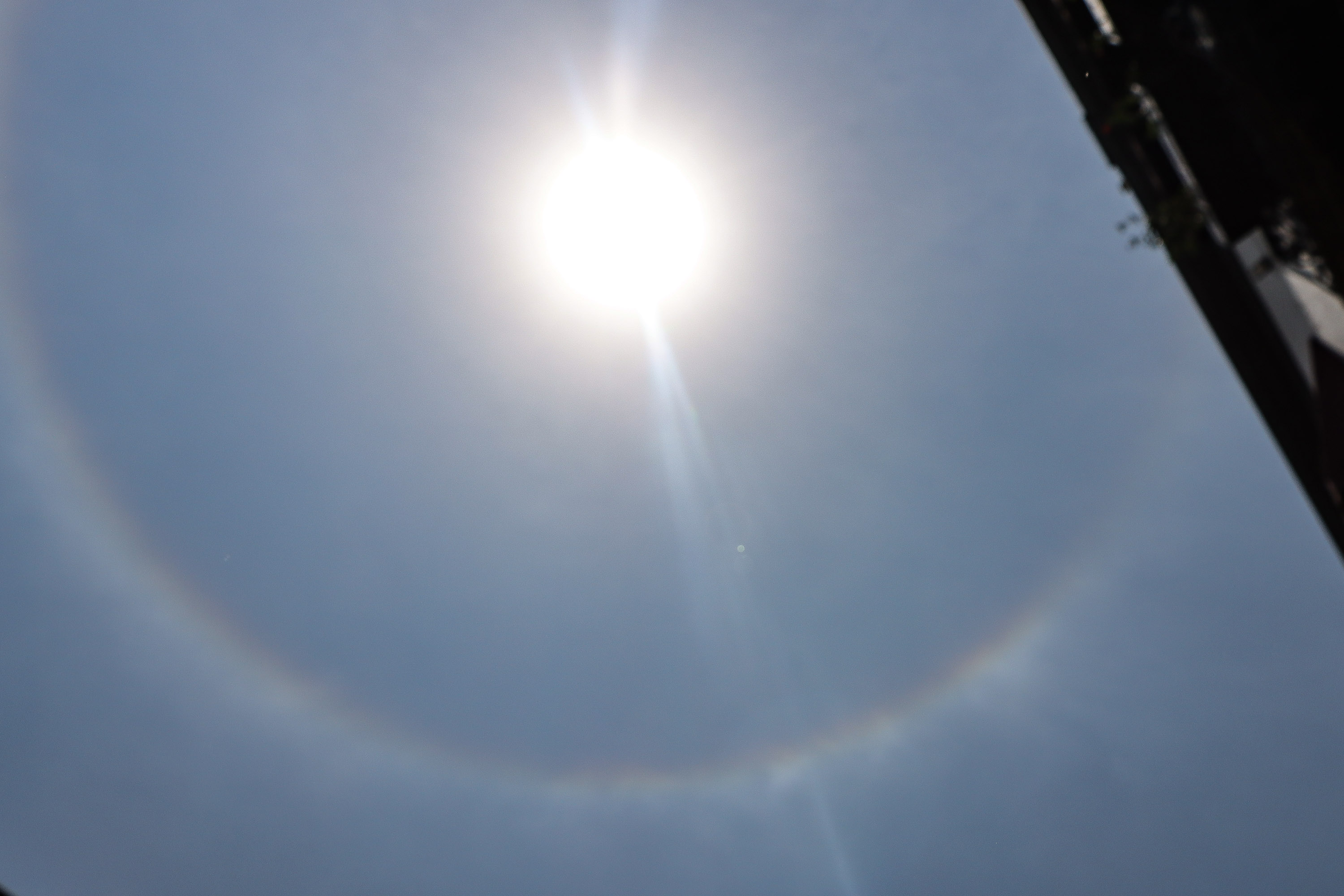 VIDEO Sorprende halo solar a poblanos