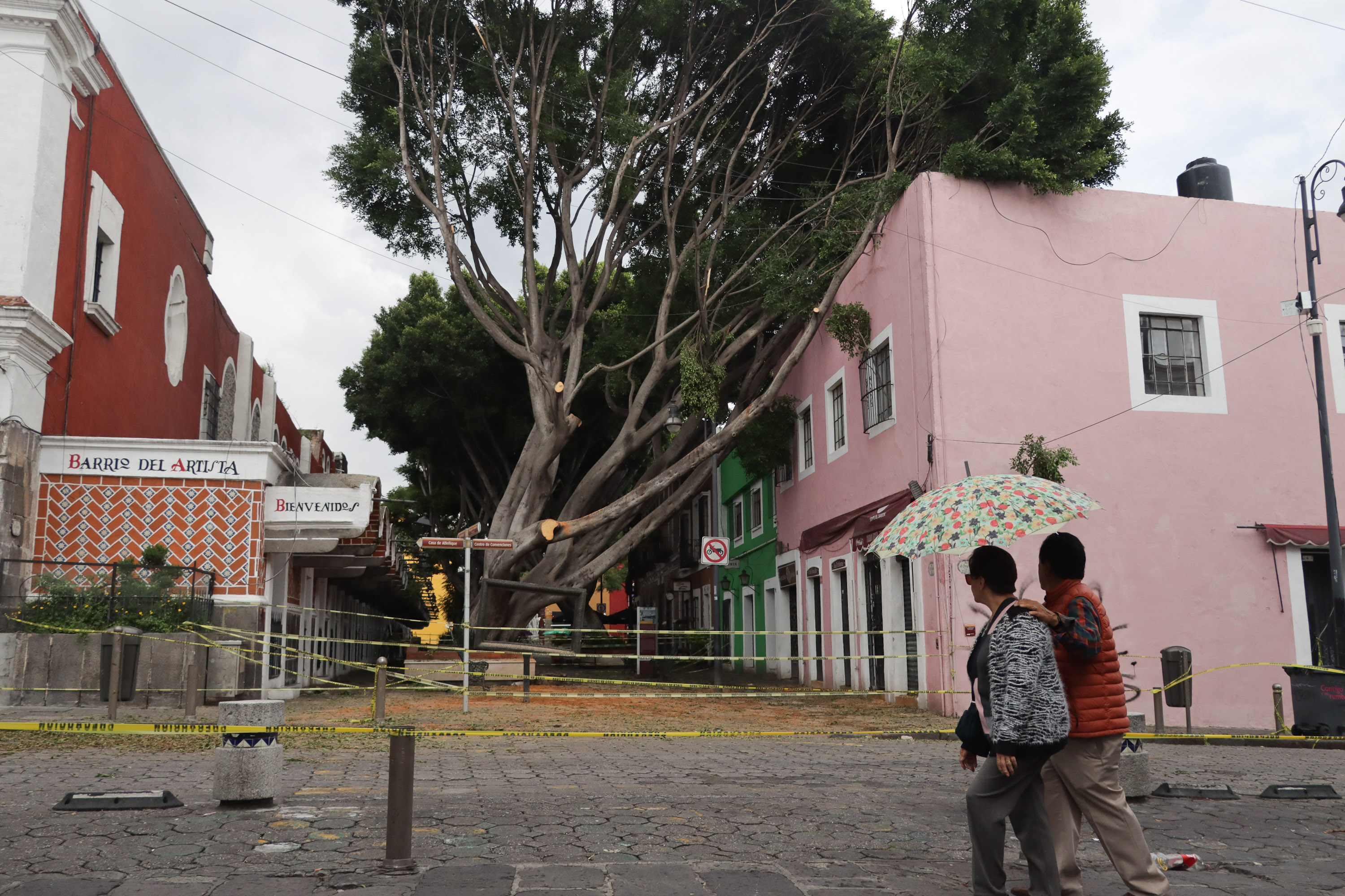 Permanece acordonada zona del Barrio del Artista