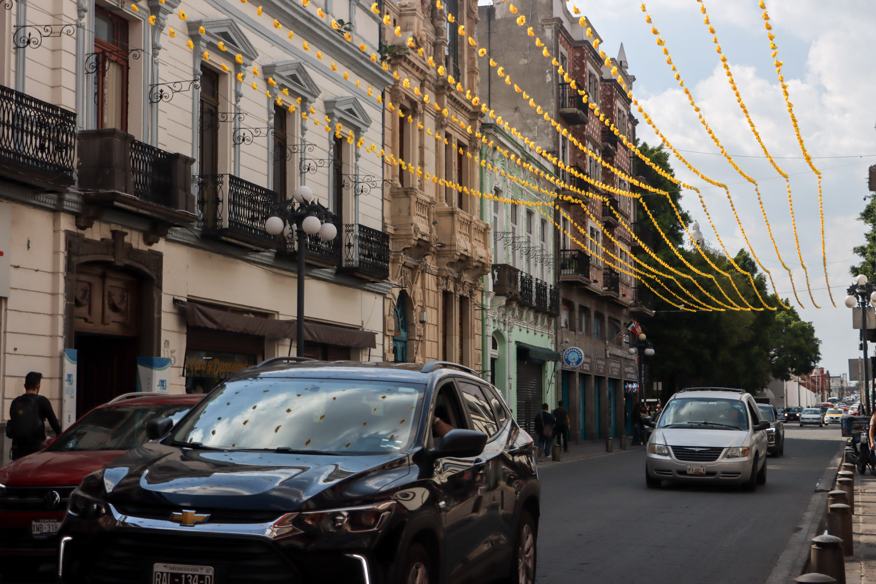 VIDEO Calle Reforma adornada con cempasúchil de papel