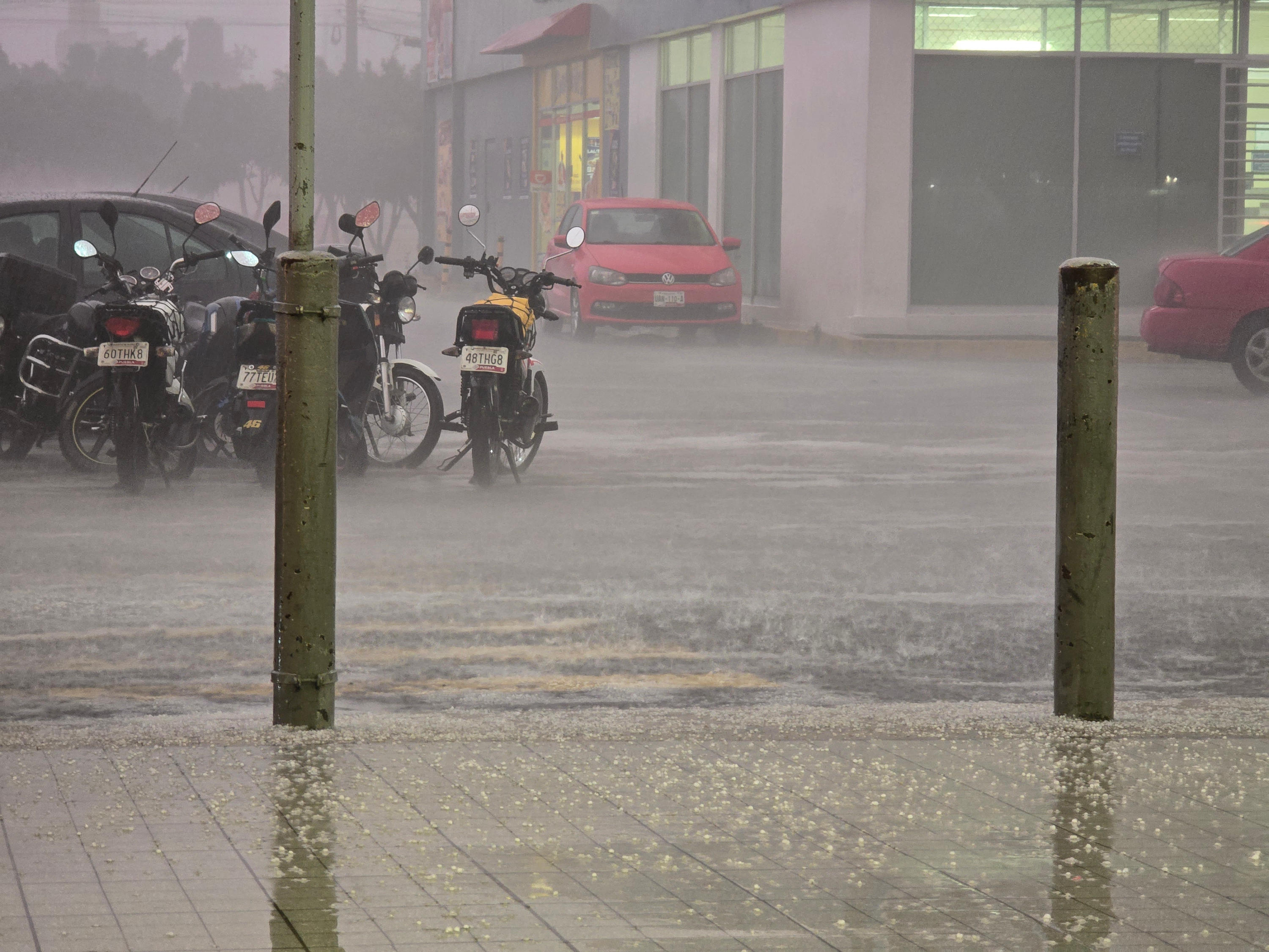 Tres árboles caen en la capital poblana por la fuerte lluvia de esta tarde 