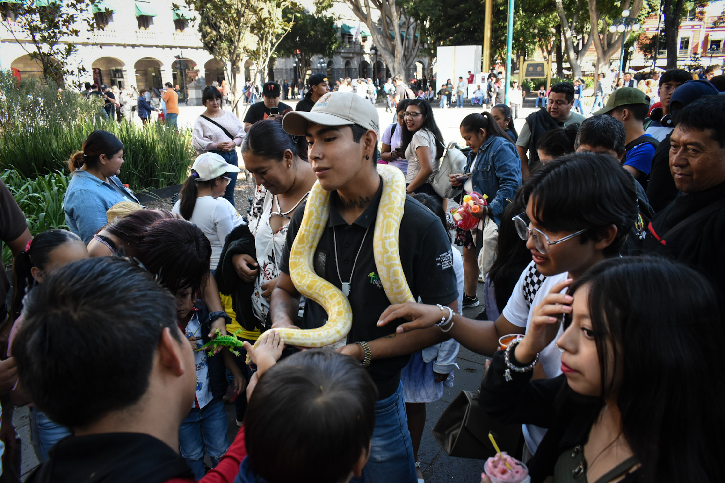 Reptiles se apoderan del zócalo de Puebla