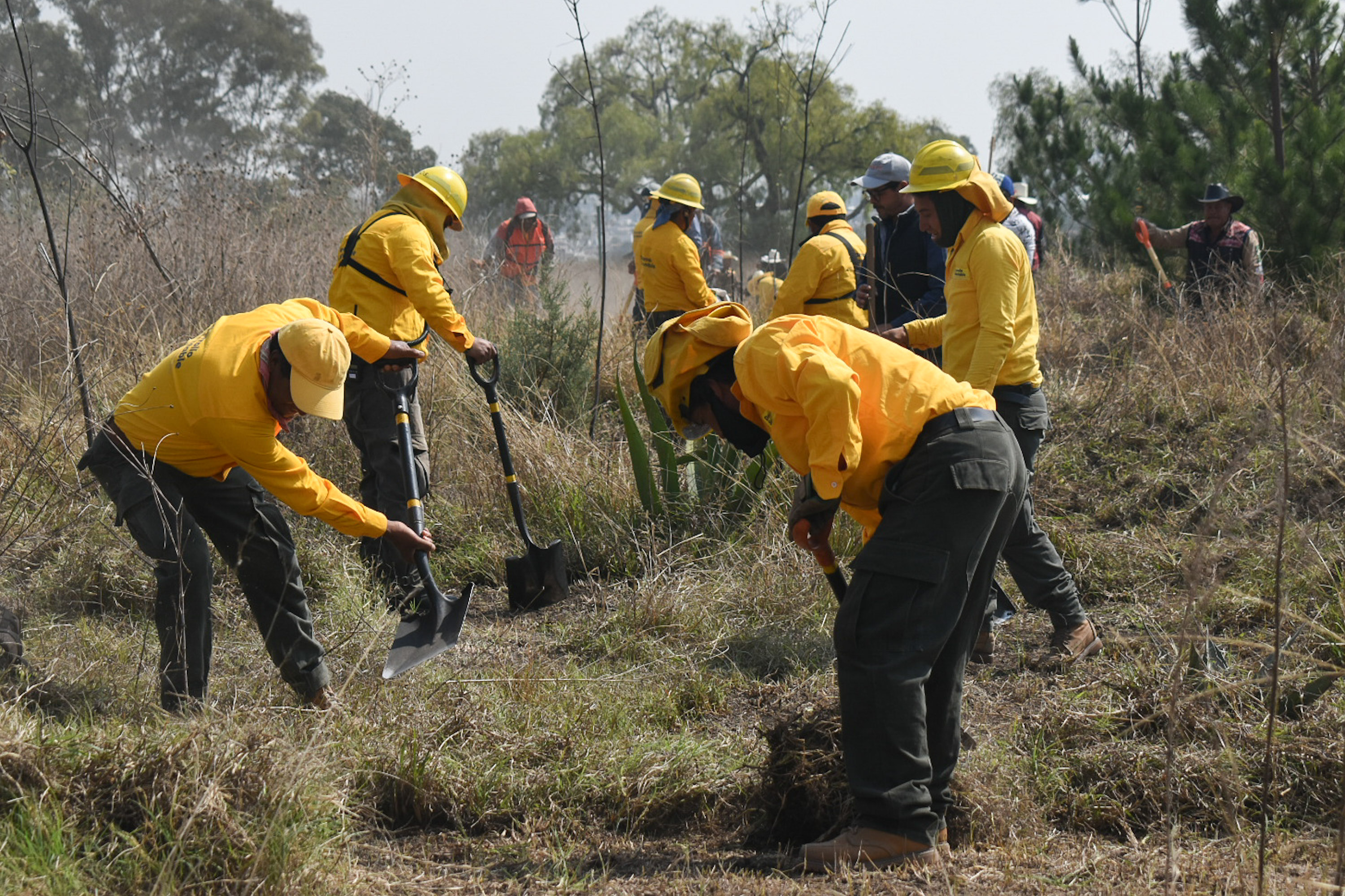 Realizan demostración de brechas cortafuego