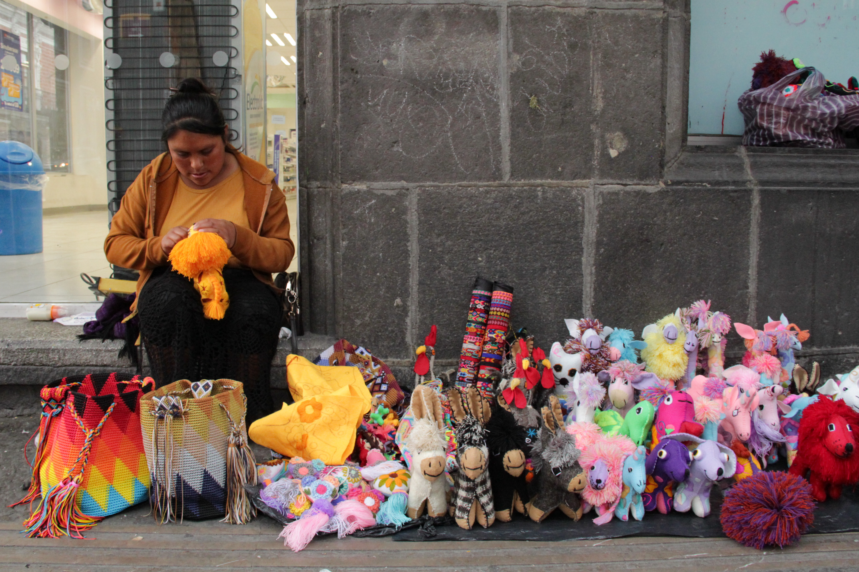 VIDEO Entre perritos, burritos y leones se encuentra Diana, artesana Chiapaneca 