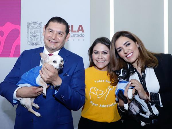 Gobierno y Congreso construyen Ley de Bienestar Animal