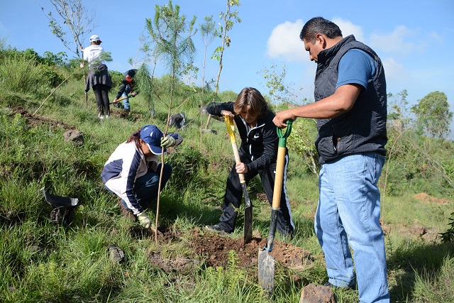 Plantan más de 2 mil árboles en reforestación del Cerro Zapotecas