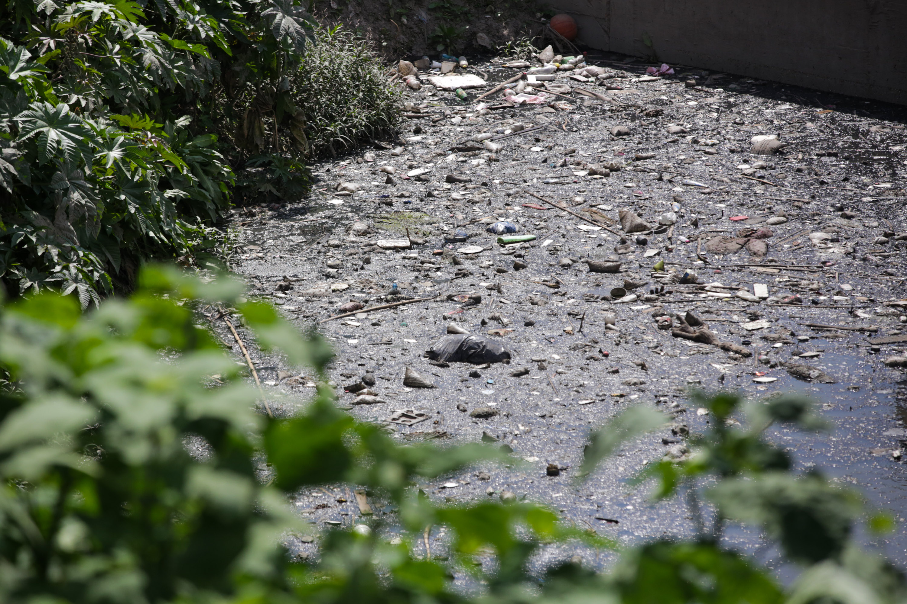 Izúcar de Matamoros concentra la mayor cantidad de casos de dengue del estado