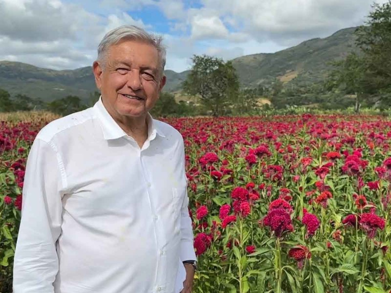 AMLO desliza reforma para ampliar su periodo