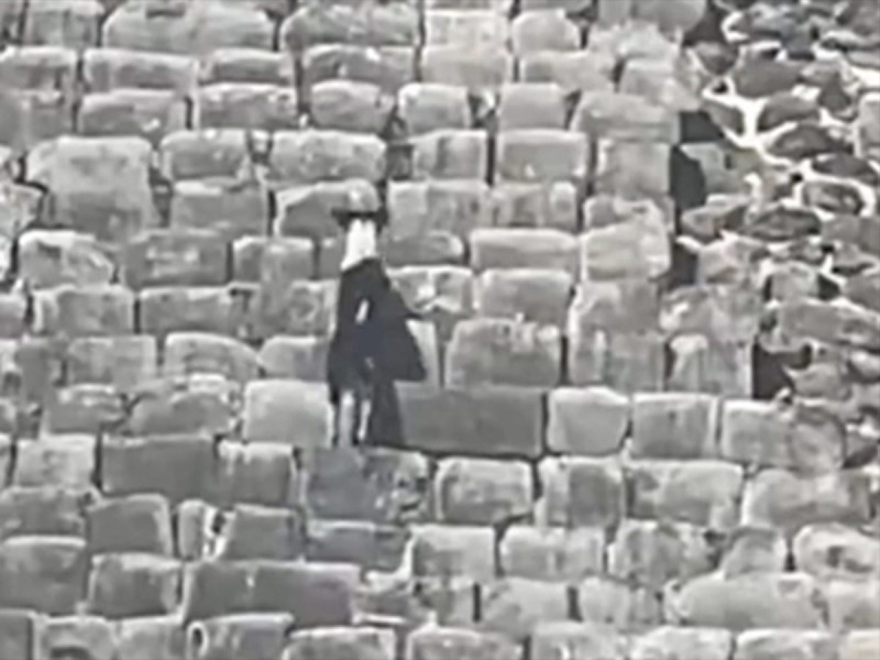 VIDEO Los lomitos sí pueden subir a la pirámide de Chichén Itzá