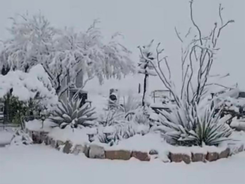 Casi en primavera cae nevada en Coahuila