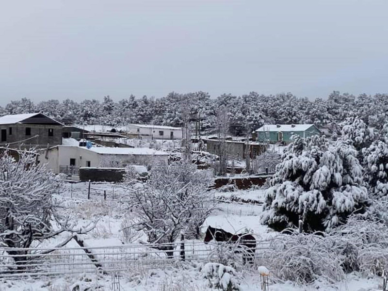 Declaran alerta amarilla por caída de nieve en Chihuahua