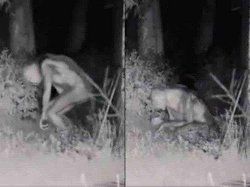 VIDEO Cámara de la policía de las Vegas capta supuesto extraterrestre