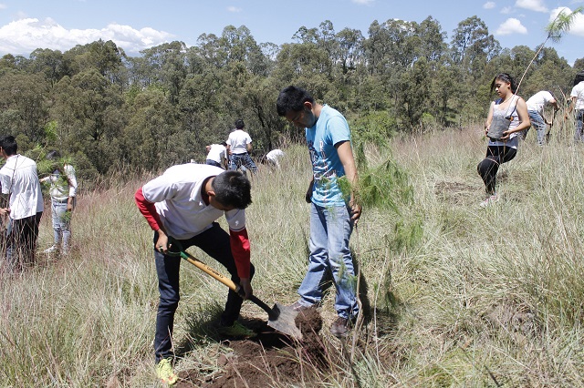 Estudiantes cholultecas reforestan el cerro Zapotecas