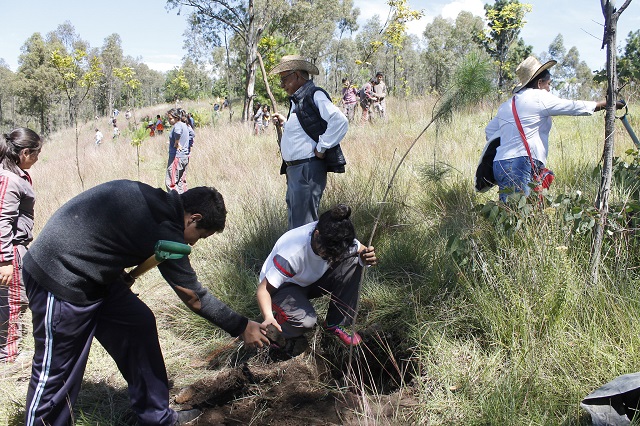 Estudiantes cholultecas reforestan el cerro Zapotecas
