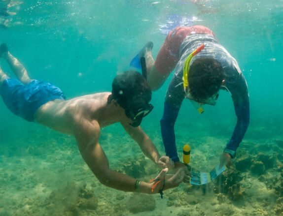 UDLAP participa en proyecto de recuperación de arrecifes en Veracruz
